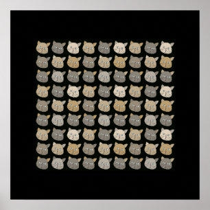 Affiche murs de chat