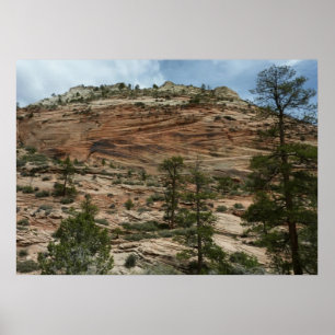 Affiche Murs de roche usés dans le parc national de Zion