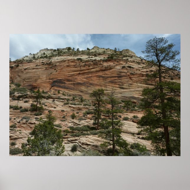 Affiche Murs de roche usés dans le parc national de Zion (Devant)