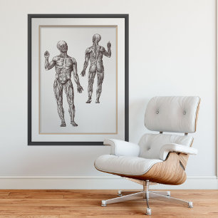 Affiche Muscle Men Médecine sportive Anatomie humaine