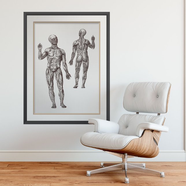 Affiche Muscle Men Médecine sportive Anatomie humaine (Créateur téléchargé)