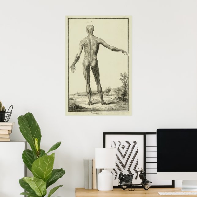 Affiche Muscles Antiques, Anatomie Humaine par Denis Dider (Bureau à domicile)