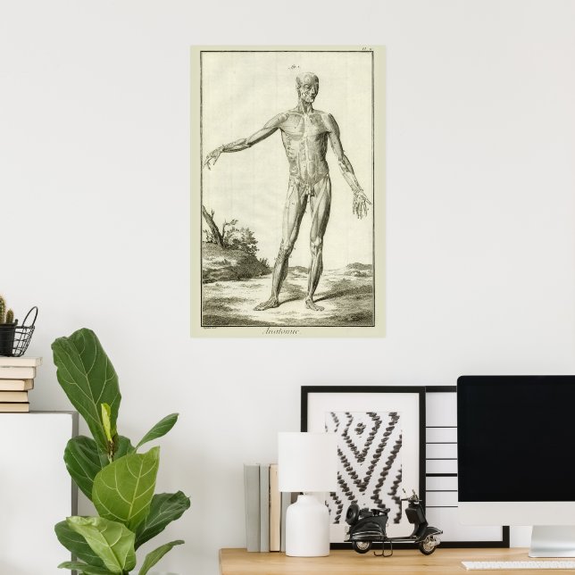 Affiche Muscles Antiques, Anatomie Humaine par Denis Dider (Bureau à domicile)