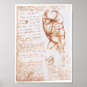 Affiche Muscles du torse, Leonarod da Vinci