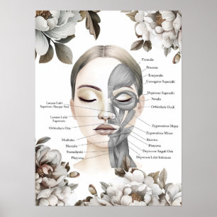 Affiche Muscles faciaux Anatomie Art Massage Thérapiste Ca