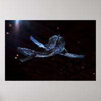 Musée des sciences naturelles de Houston