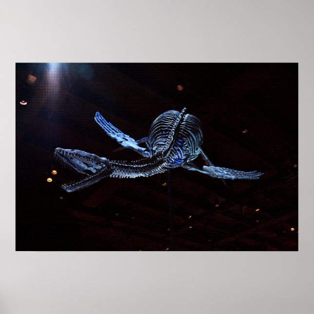 Affiche Musée des sciences naturelles de Houston (Devant)