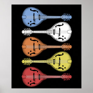 Affiche Musique de pays rétro Mandolin Vintage Bluegrass