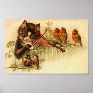Affiche Musique Pour Les Oiseaux, Chat et Oiseaux