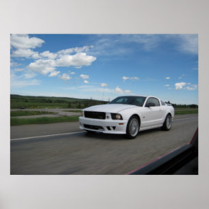 Affiche Mustang blanc de Saleen