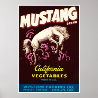Affiche Mustang Cheval sauvage Guadalupe Californie Légume