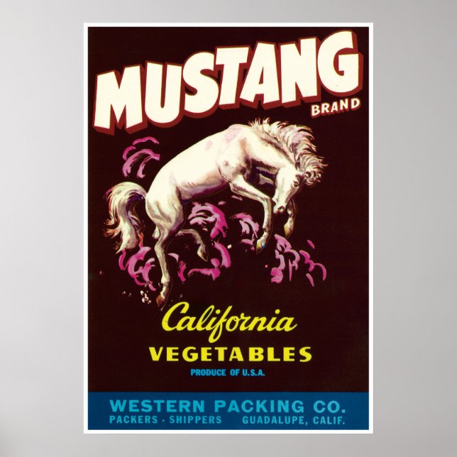 Affiche Mustang Cheval sauvage Guadalupe Californie Légume (Devant)
