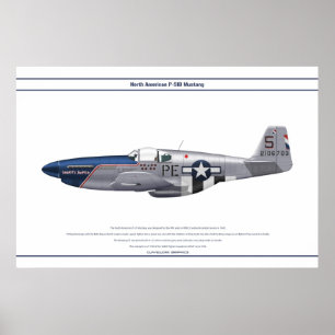 Affiche Mustang Etats-Unis 328FS 1