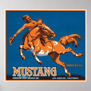 Affiche Mustang Horse Cowboy Los Angeles Californie USA