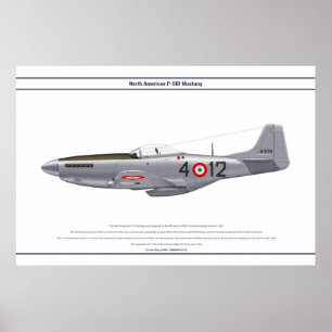 Affiche Mustang Italie 1