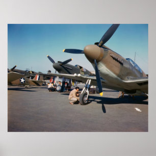Affiche Mustangs P-51