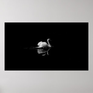 AFFICHE MUTE SWAN EN PHOTOGRAPHIE À FAIBLE LUMIÈRE