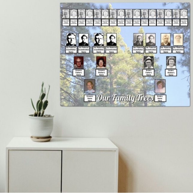 Affiche Muted Pine Tree Forest Photo with Two Family Trees (Créateur téléchargé)