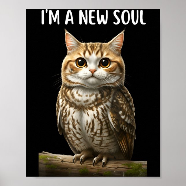 Affiche My Srit Animal Funny Meowl, Cursed Cat Owl Brainro (Devant)