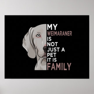 Affiche My Weimaraner