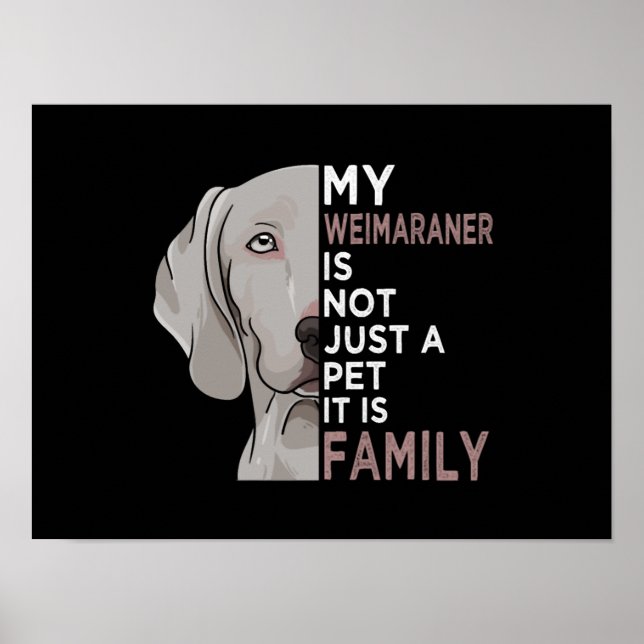 Affiche My Weimaraner (Devant)