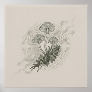 Affiche Mycélium de champignon et de forêt