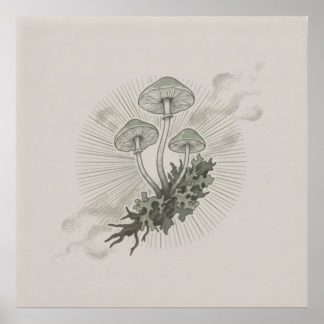 Affiche Mycélium de champignon et de forêt (Devant)
