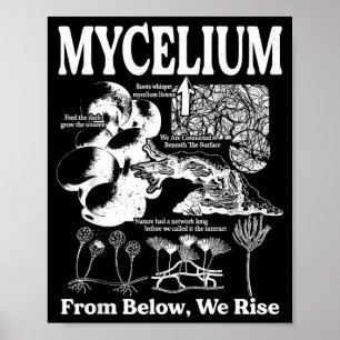 Affiche Mycologie des champignons réseau mycélien vintage