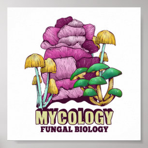 Affiche Mycologie La biologie fongique
