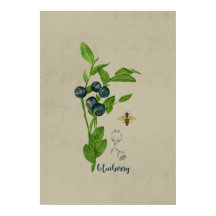 Myrtille Botanique avec Abeille et Fleur