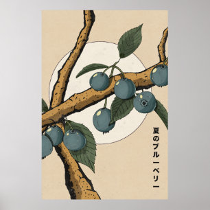 Affiche Myrtilles japonaises