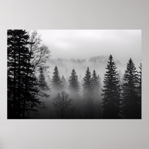 Affiche Mystères de la Mist