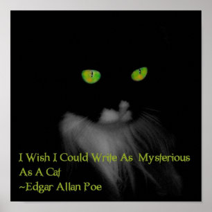 Affiche Mystérieux chat