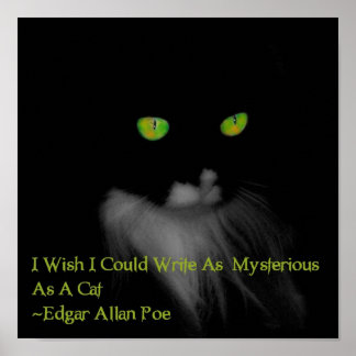 Affiche Mystérieux chat