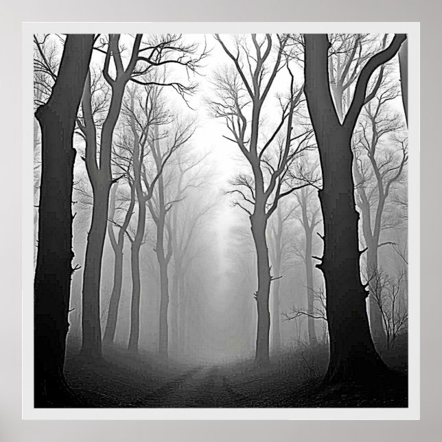 Affiche Mysterious Foggy Forest Path (Devant)