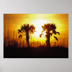 Affiche N.A., USA, Caroline du Sud, Charleston. Coucher du