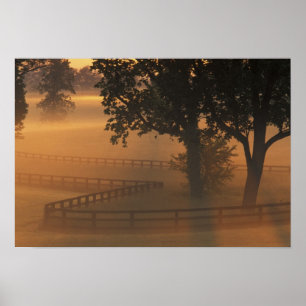 Affiche NA, États-Unis, Kentucky. Lever de soleil brumeux 