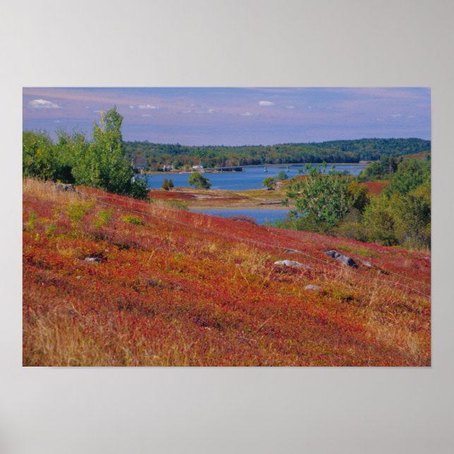 Affiche NA, USA, Maine. Blueberry Barrens. (Devant)