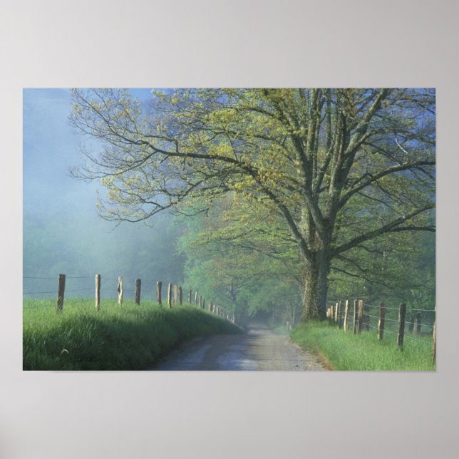 Affiche NA, USA, Tennessee, Cades Cove, Great Smoky (Devant)