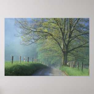 Affiche NA, USA, Tennessee, Cades Cove, Super Smoke