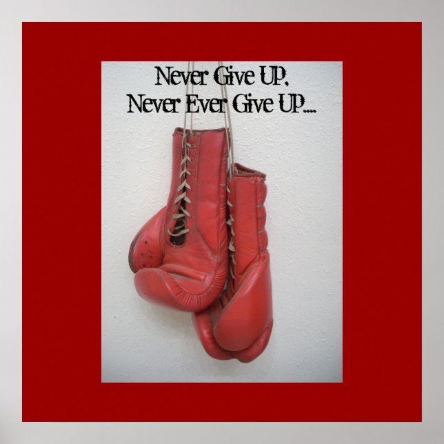 Affiche N'abandonne Jamais, N'abandonne Jamais.... (Devant)