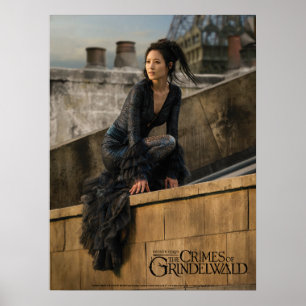 Affiche Nagini sur le toit photo