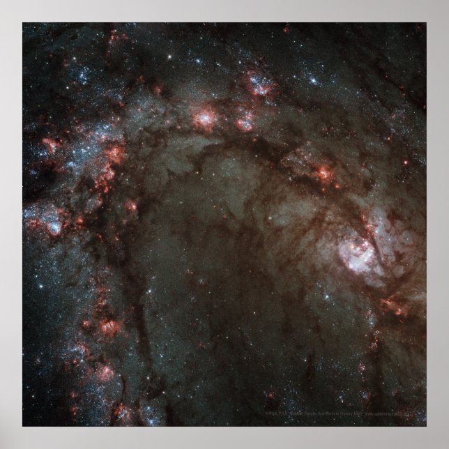 Affiche Naissance étoile en Galaxy M83 Détail 12x12 (13x13 (Devant)
