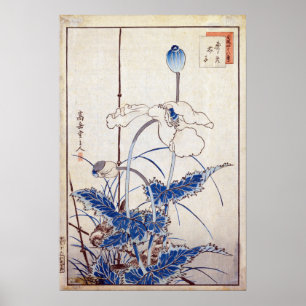 Affiche Nakayama Sugakudo Bird sur les pavots