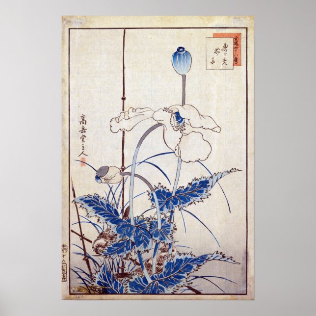 Affiche Nakayama Sugakudo Oiseaux sur les pavots (Devant)