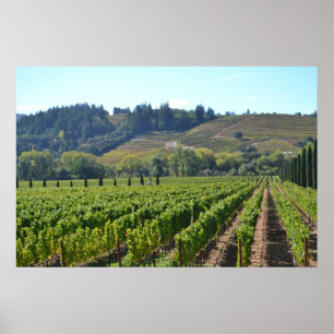 Affiche Napa Sonoma Valley Vin Pays