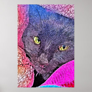 Affiche Napoléon dans une couverture