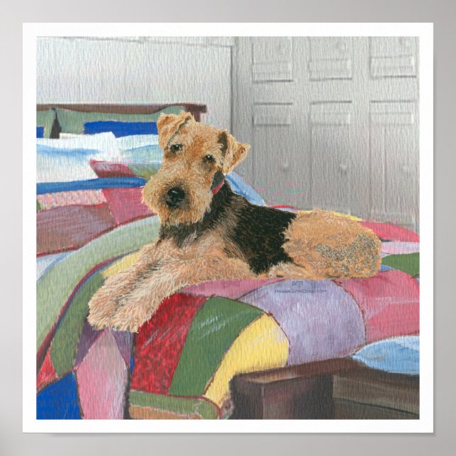 Affiche Naptime (Devant)