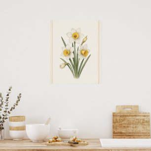 Affiche Narcisse, fleur de naissance de décembre, illustra