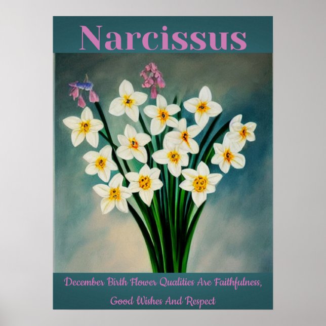 Affiche Narcissus Décembre Fleur de naissance Qualités Pos (Devant)